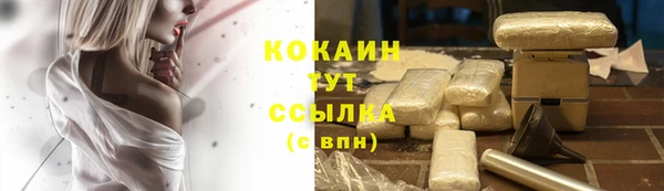 гашик Абаза