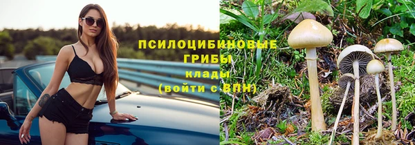 прущая мука Кинешма