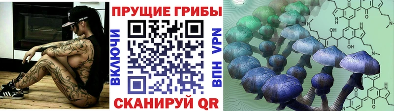 Псилоцибиновые грибы ЛСД  Тимашёвск 
